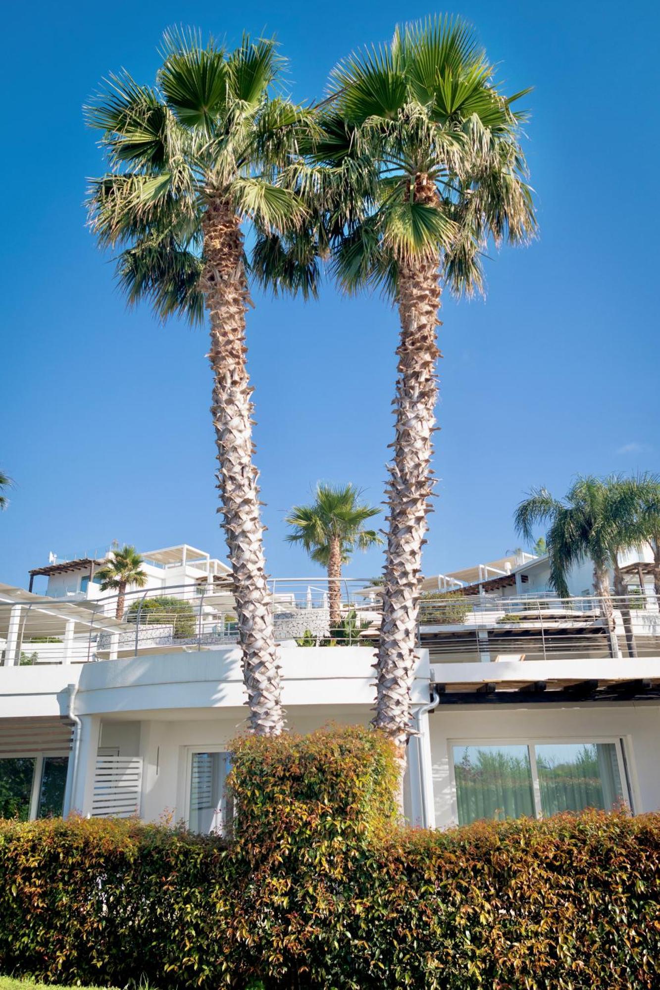 Infinity Resort Tropea Parghelia Ngoại thất bức ảnh